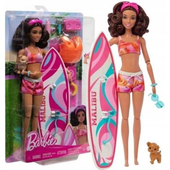Barbie SURFAŘKA S DOPLŇKY