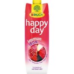 Rauch Happy Day Immun Iron džus s vitamíny 1 l – Zboží Dáma