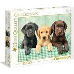 Clementoni Tři labradoři HQC 1000 dílků – Zboží Dáma