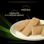 Pro Plan Veterinary Diets Canine HA Hypoallergenic 400 g – Zbozi.Blesk.cz