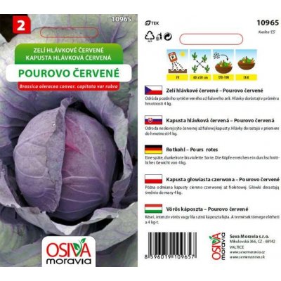 Osiva Moravia s.r.o. Neředín Hlávkové zelí POUROVO ČERVENÉ – Zboží Mobilmania