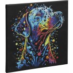 Grafi x Malování podle čísel na černé plátno 30 x 30 cm pes – Zboží Dáma