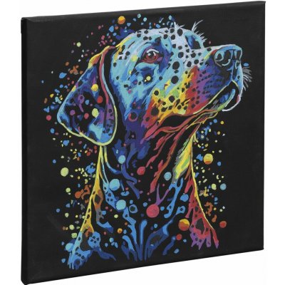 Grafi x Malování podle čísel na černé plátno 30 x 30 cm pes – Zboží Dáma