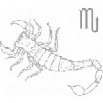 Štír – Sleviste.cz