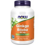 Now Foods Ginkgo Biloba 60 mg 240 kapslí – Hledejceny.cz