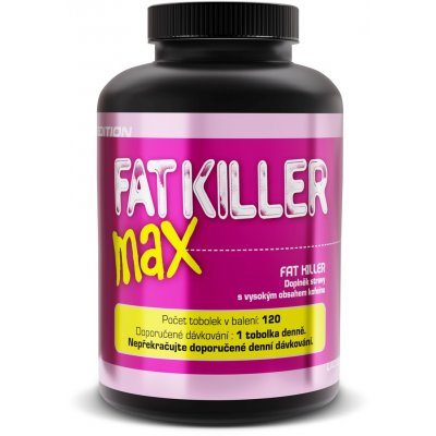 Ladylab Fat Killer Max 120 kapslí – Hledejceny.cz