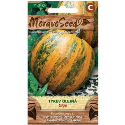 Tykev olejná OLGA 67131 MORAVOSEED – Zboží Dáma