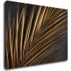 Obraz Impresi Obraz Zlatá palma - 70 x 50 cm
