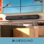 Bluesound Pulse – Zboží Živě