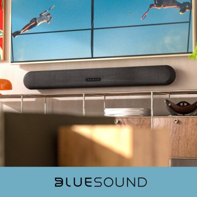 Bluesound Pulse – Zboží Živě