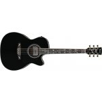 Ibanez AC391RCE – Hledejceny.cz