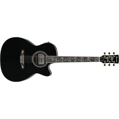 Ibanez AC391RCE – Hledejceny.cz