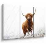 Obraz - Skotská kráva, třídílný 120x80 cm – Hledejceny.cz