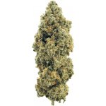 Medusa hempire CBD Květy Cannatonic 0,2% THC 2g – Zboží Mobilmania