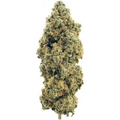 Medusa hempire CBD Květy Cannatonic 0,2% THC 5g – Zboží Mobilmania