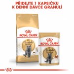 Royal Canin British Shorthair Adult 2 kg – Zboží Dáma