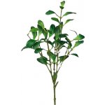 LAALU Vánoční dekorace - větvička jmelí s bobulemi, zelená, 53 cm – Zboží Dáma