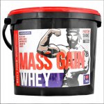 Megabol Whey Mass Gain 3000 g – Zboží Dáma