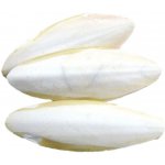 Zdeněk Soukal Sépiová kost broušená 25cm – Zbozi.Blesk.cz