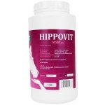 Hippovit MSM 1000 g – Hledejceny.cz