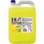 Disinfekto Dezinfekce na podlahy a povrchy D2 5 l – Zboží Dáma