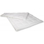 2G Lipov přikrývka Aloe Vera 200x220 – Zboží Dáma