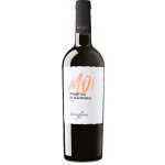 Varvaglione Primitivo Di Manduria DOP 2020 14% 0,75 l (holá láhev) – Hledejceny.cz