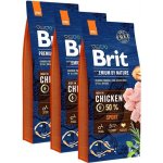 Brit Premium by Nature Sport 3 x 15 kg – Hledejceny.cz