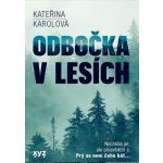 Odbočka v lesích – Sleviste.cz