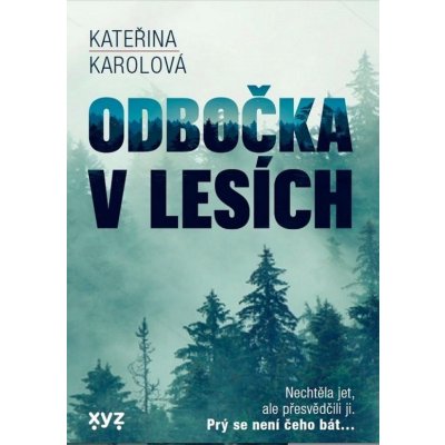 Odbočka v lesích – Sleviste.cz