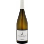 Salwey Kaiserstuhl Weiss Baden 2022 suché 13 % 0,75 l (holá láhev) – Hledejceny.cz