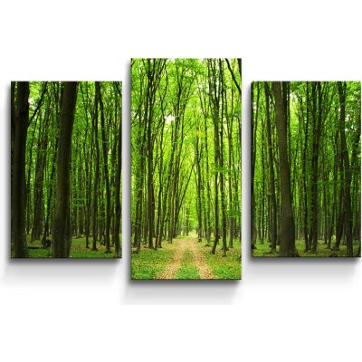 Sablio Obraz - 3-dílný Cesta v lese - 75x50 cm – Hledejceny.cz