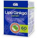 GS Ginkgo 60 mg s hořčíkem 60 tablet – Hledejceny.cz