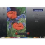 STAEDTLER Olejové pastely "Design Journey" sada 36 barev – Zboží Dáma