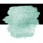 Finetec akvarelová barva v pánvičce F9073C Pearlescent Mint – Hledejceny.cz