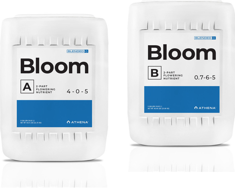 Athena Liquid Bloom A+B 3,78 l