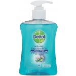 Dettol Cleanse antibakteriální mýdlo dávkovač 250 ml – Sleviste.cz