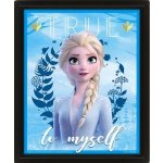 Obraz 3D Frozen – Zboží Dáma
