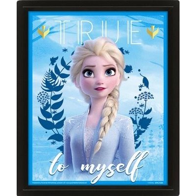 Obraz 3D Frozen – Zboží Dáma
