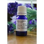 Bachovy květové esence Clematis Globuli 10 g – Hledejceny.cz