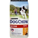 Purina Dog Chow active Chicken 14 kg – Zboží Mobilmania