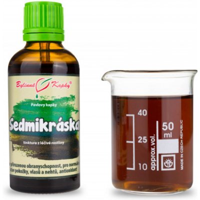 Bylinné kapky Pavlovy bylinné kapky Sedmikráska tinktura 50 ml – Hledejceny.cz
