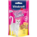 Vitakraft Cat Yums Sýr 40 g – Hledejceny.cz