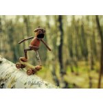 Pohlednice Dubánek na skejtu – Sleviste.cz