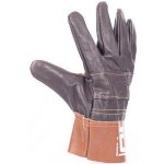 Cerva FRANCOLIN – Sleviste.cz