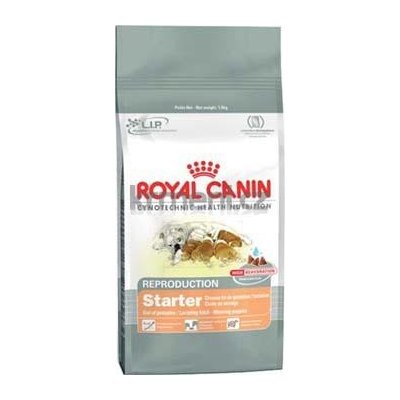 Royal Canin Starter Puppy 10 kg