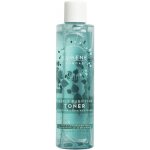 Lumene Puhdas Deeply Purifying Toner Čistící toner 200 ml – Zbozi.Blesk.cz