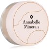 Korektor na tvář Annabelle Minerals Mineral Concealer korektor s vysokým krytím Natural Fair 4 g