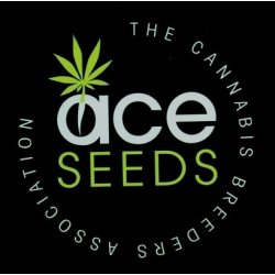 Ace Seeds Malawi semena neobsahují THC 1 ks