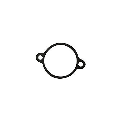 Těsnění plovákové komory Pionýr 05, 20, 21, 23 | Zboží Auto